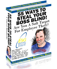 55 Ways To Steal Your Boss Blind